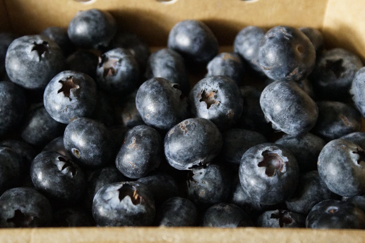 portfolio-06 fresh-blueberries-in-a-rustic-wooden-box-32689964